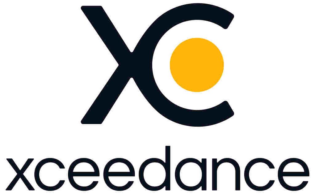 Xceedance new logo