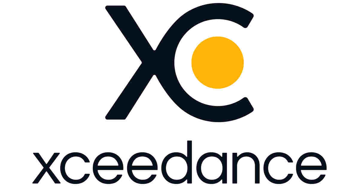 Xceedance new logo