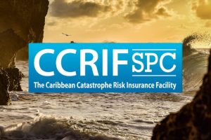 ccrif logo new