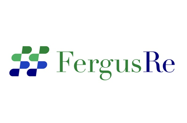 fergus re logo