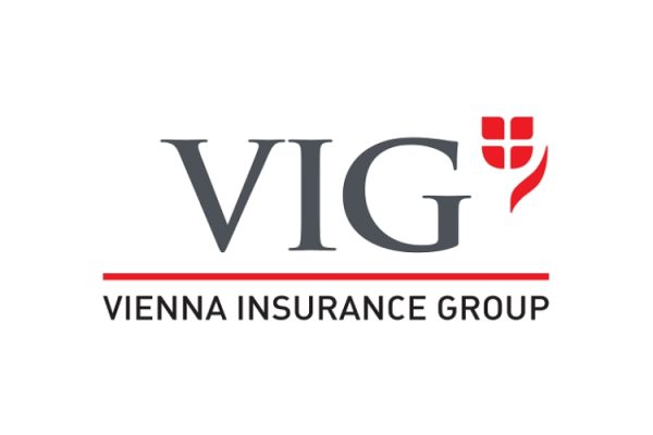vig logo new