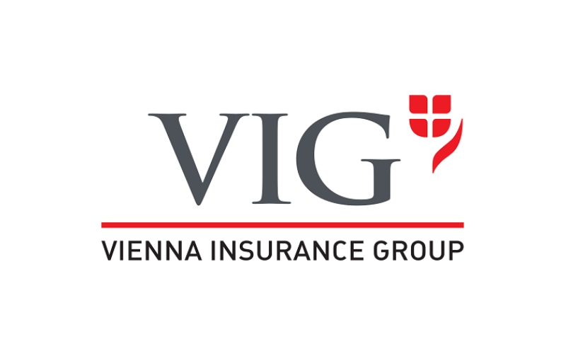 vig logo new