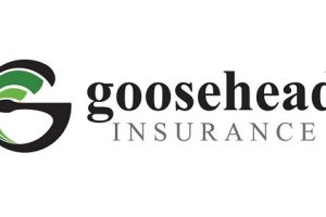 goosehead insurance logo
