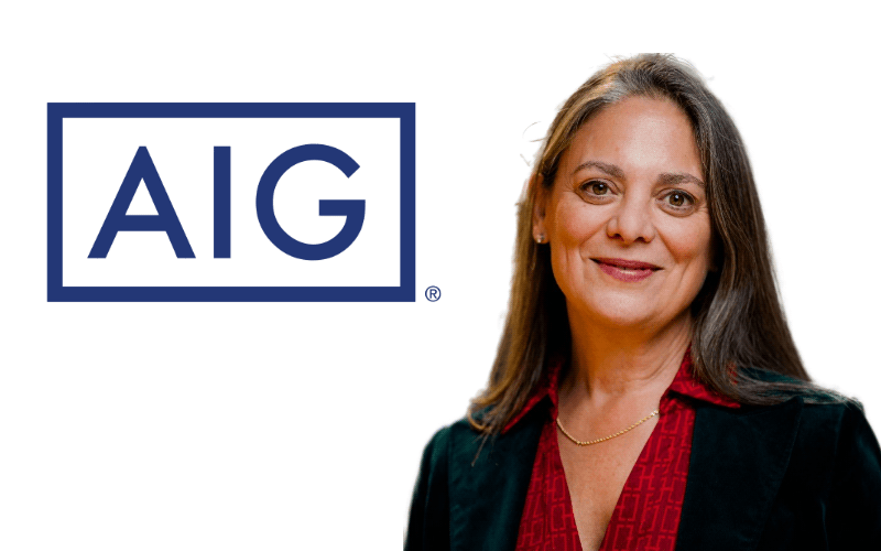 nancy bewlay aig