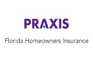 praxis logo