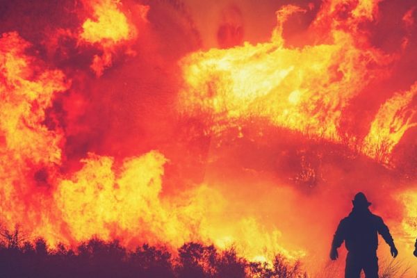wildfire fire image