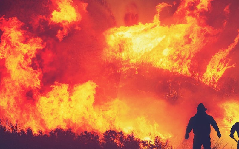 wildfire fire image
