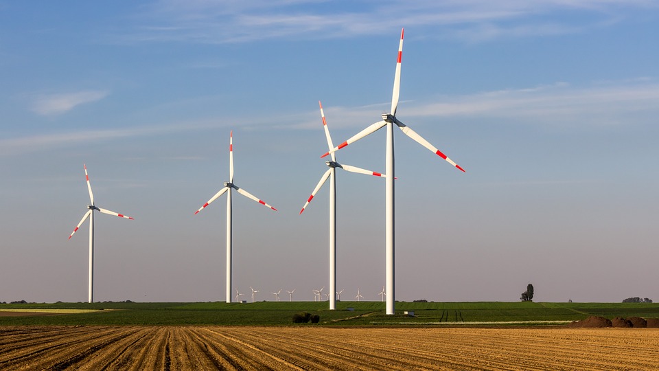 wind farm