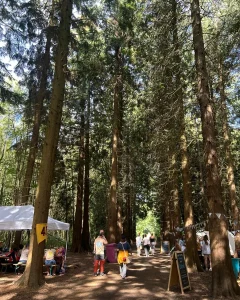 Camp Wildfire: My Review Of The Adventure-Packed Adult Summer Camp