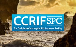 ccrif logo new